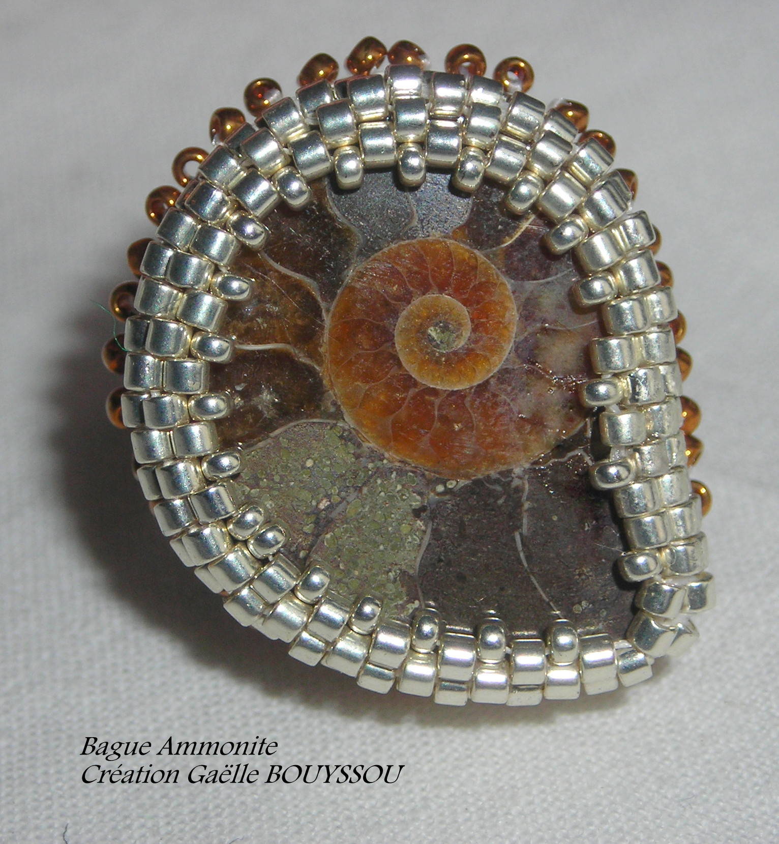 Bague "Ammonite"