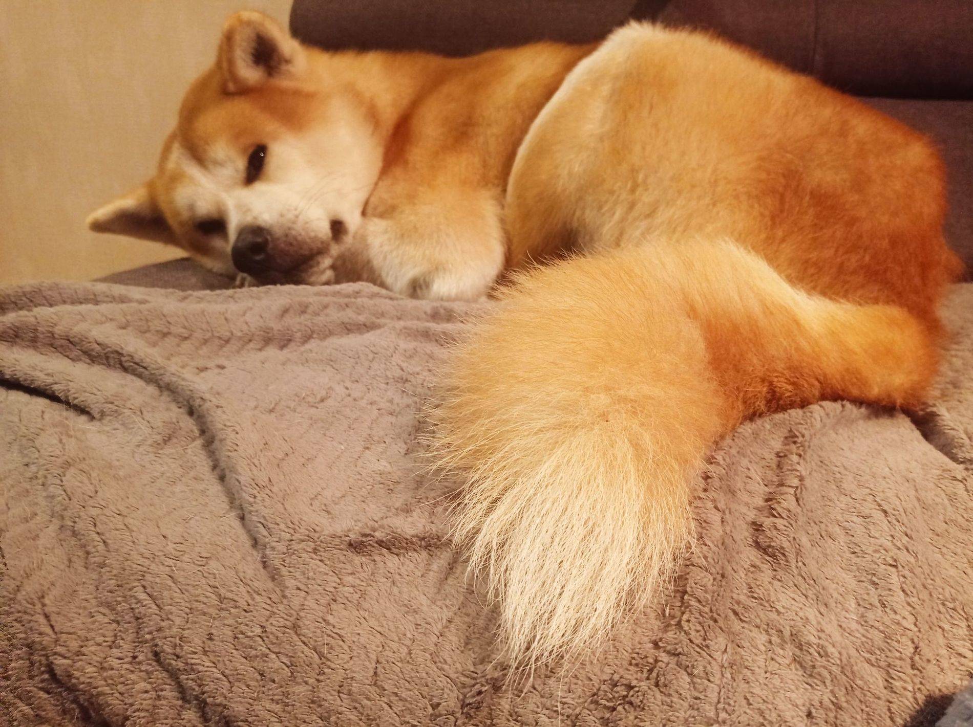Yuki1