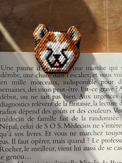 réalisation d'après une photo par Gaëlle Bouyssou